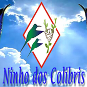 Ninhos dos Colibris